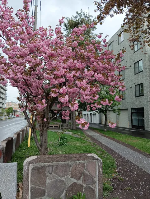 Kita 27-jo Koen-dori Park