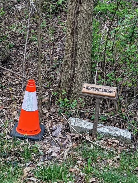 Kerfoot Copse