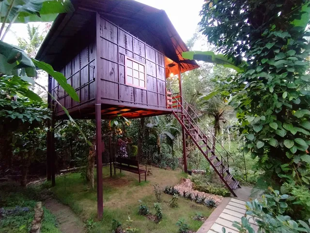 Lo Adoro Tree Hut Tourist Homestays