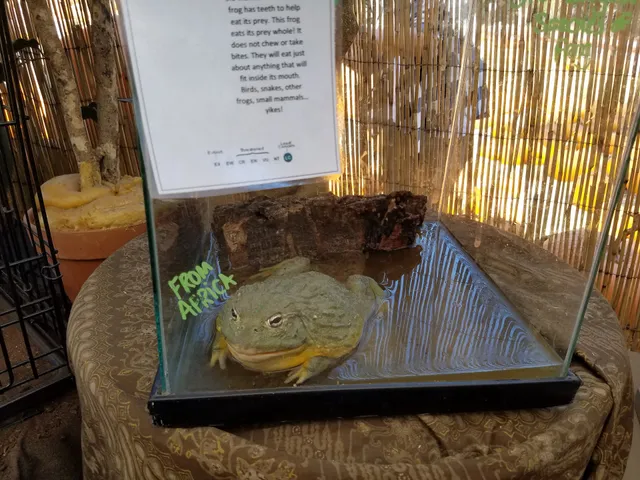 Santa’s Village at Webb Ranch