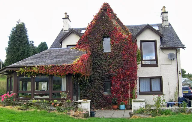 Achnabobane Farmhouse