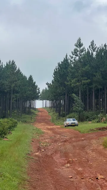 Bohemian Garden Cottages Kaapsehoop