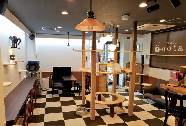 猫カフェcota