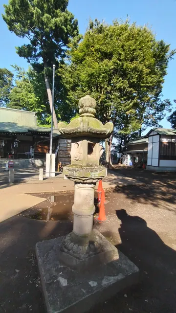 photo-1