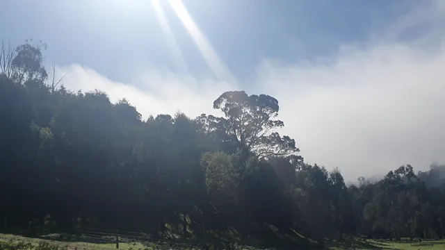 Halls on Falls Homestead