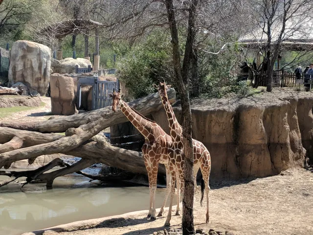 Dallas Zoological Society