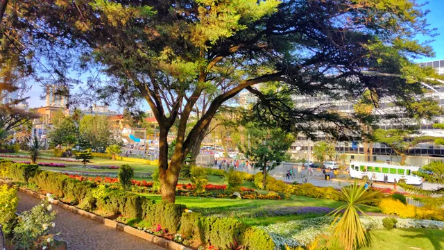 Ethiopia-Cuba Friendship Memorial Park - የኢትዮ-ኩባ የወዳጅነት ፓርክ