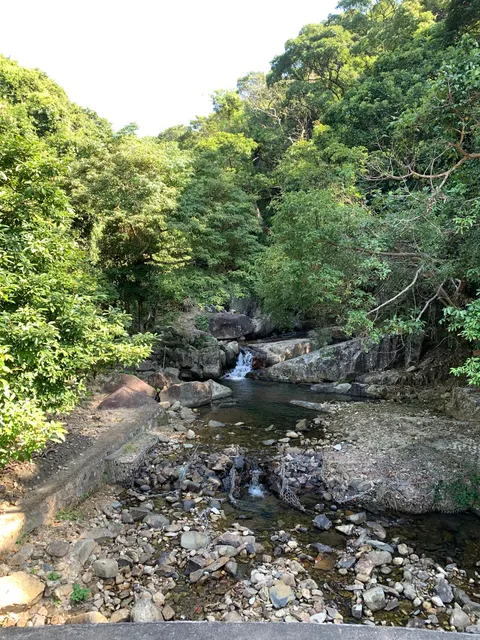 Ginger Flower Stream