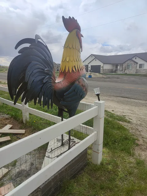 Little Shop of Hoarders