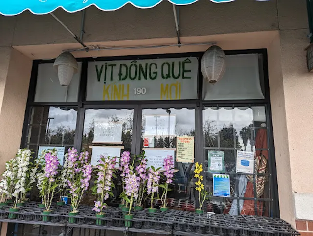Vịt Đông Quê