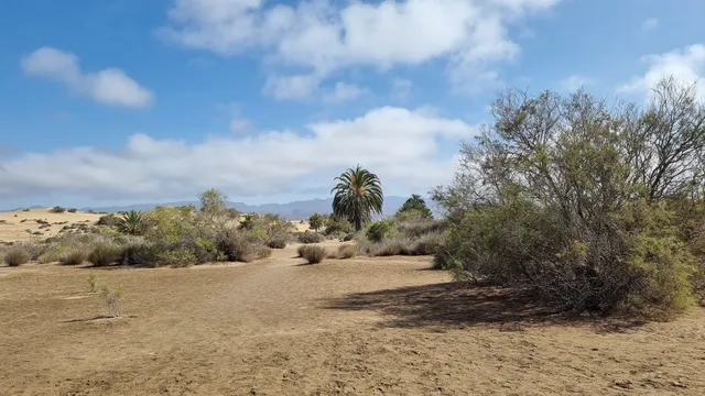 Apartamentos El Capricho, Maspalomas