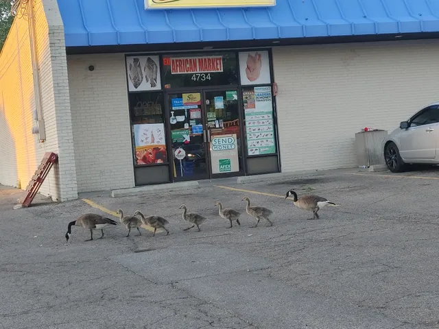 Whitehall Development Shopping Center