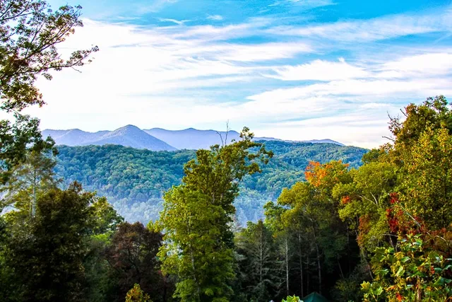 Mountain Shadows Resort & Cabin Rentals