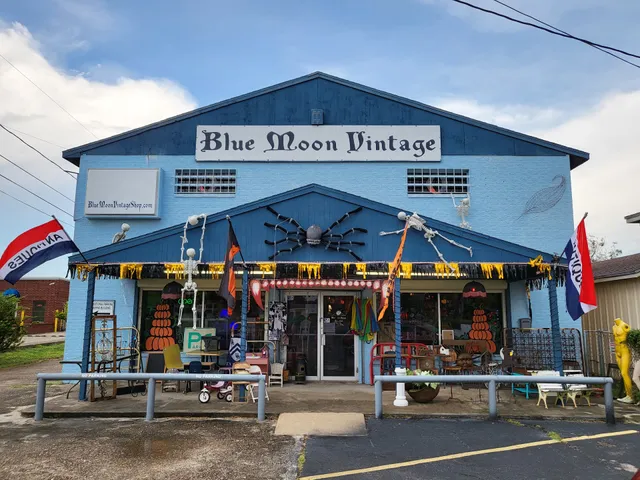 Blue Moon Vintage, LLC