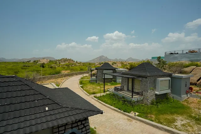 One Earth A Leopard Park