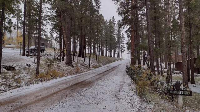 Greer Springs Resort