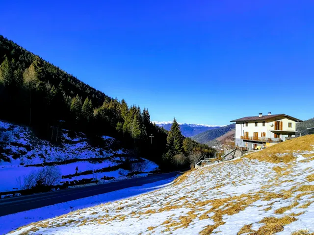 Il Cardo s.n.c. di Anesi Sergio & C.