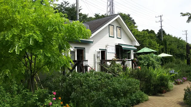 酒々井ハーブガーデンハーブの丘