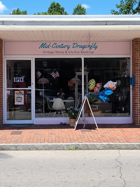 Mid-Century Dragonfly