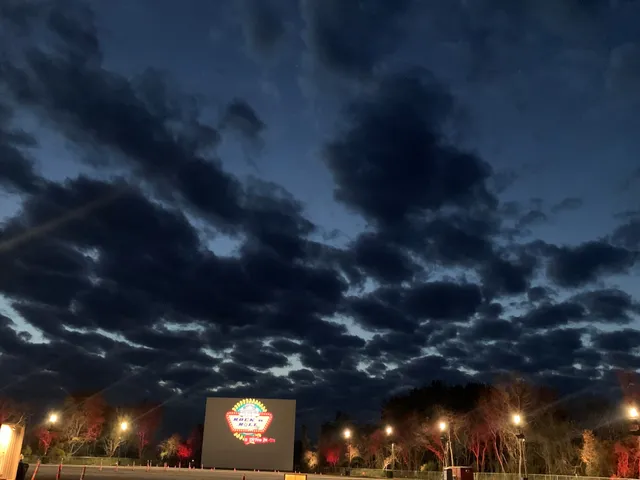 Rock 'N' Roll Drive-In