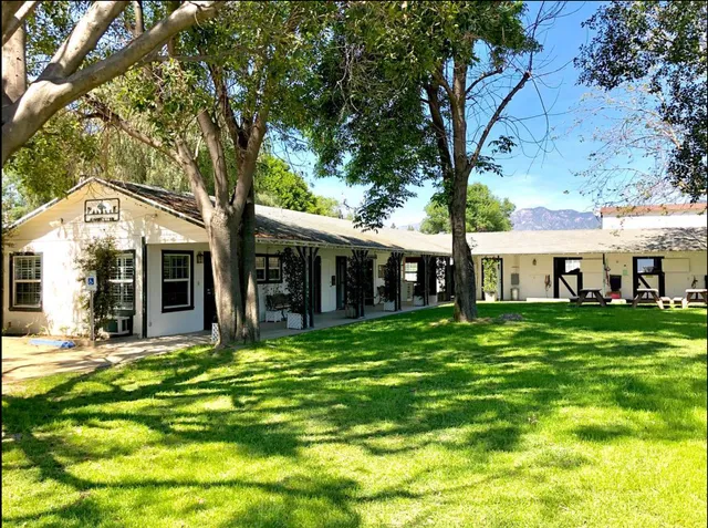 The Paddock Riding Club