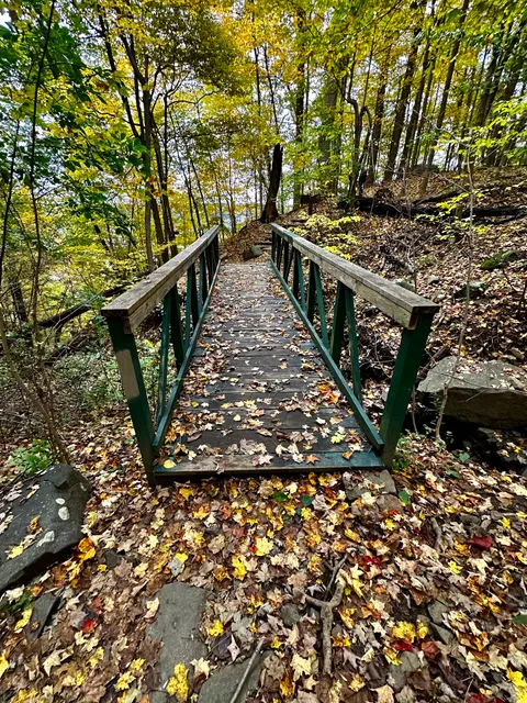 Blue and White Trail