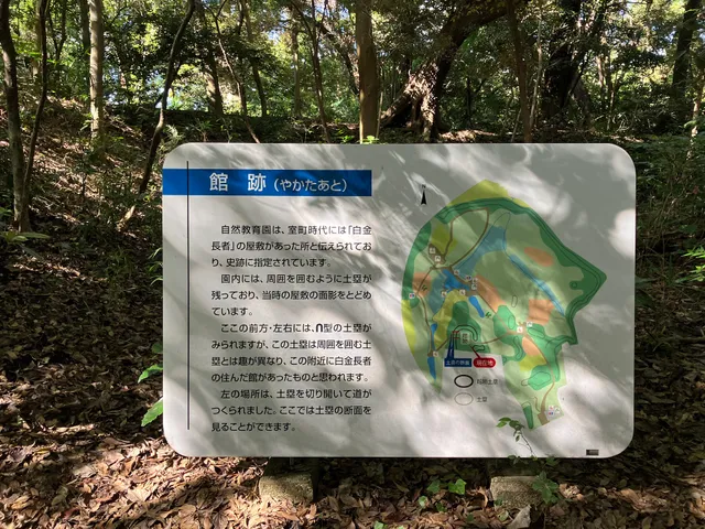 photo-2