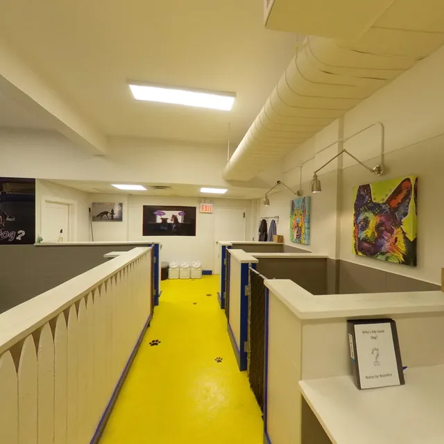 Who’s My Good Dog?