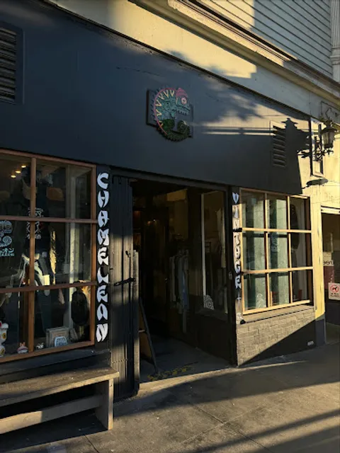 Chameleon Vintage Haight