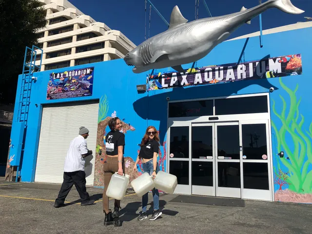 LAX Aquarium