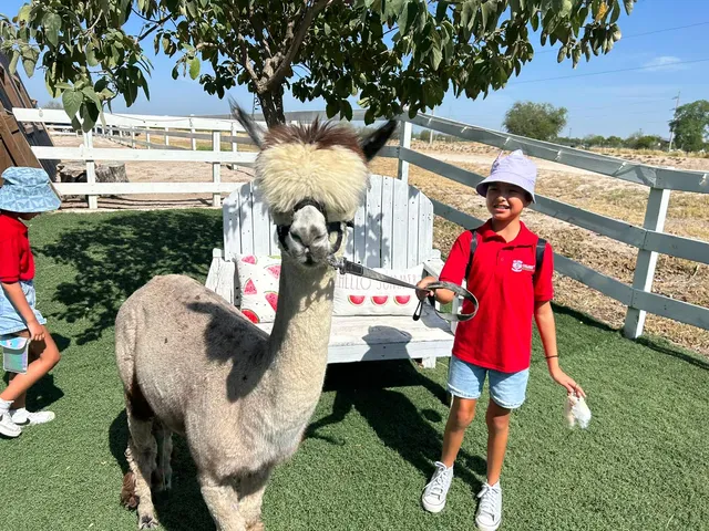Shary Road Alpacas & Events