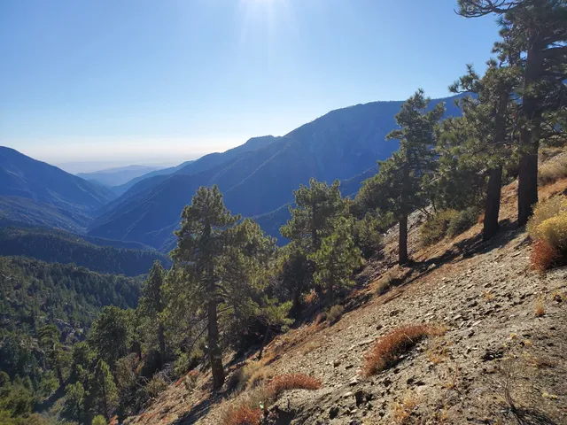 Pacific Crest Trail - Blue Ridge Trailhead