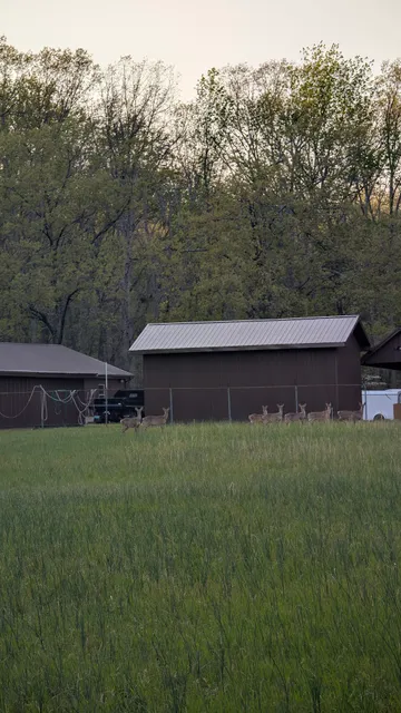 David Crockett State Park Campground #1