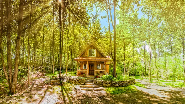 Springs Retreat Cabin