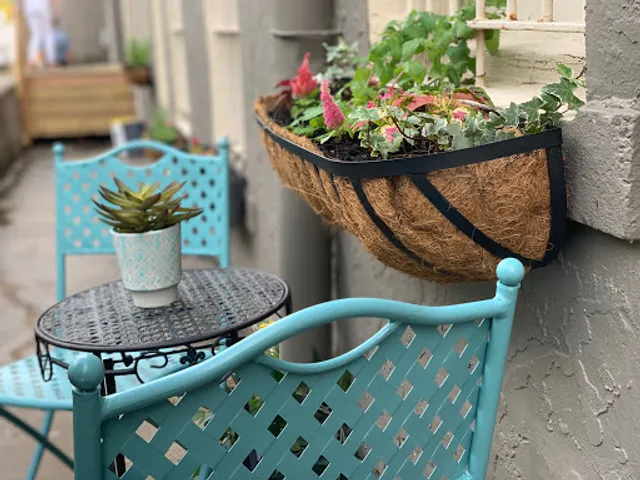 Whiskers Cat Cafe & Coffeehouse