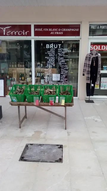 Huitres producteur Arcachon