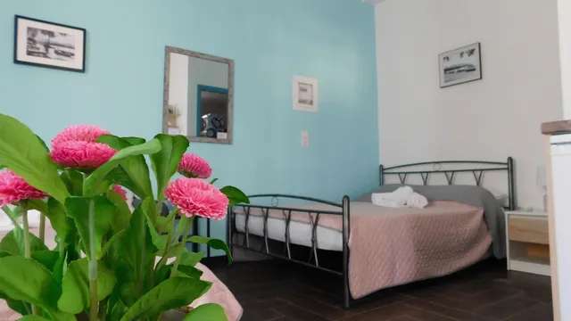 Agioi apostoloi studios