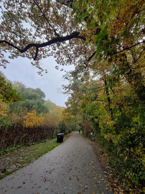 High Park Dog Off Leash Area