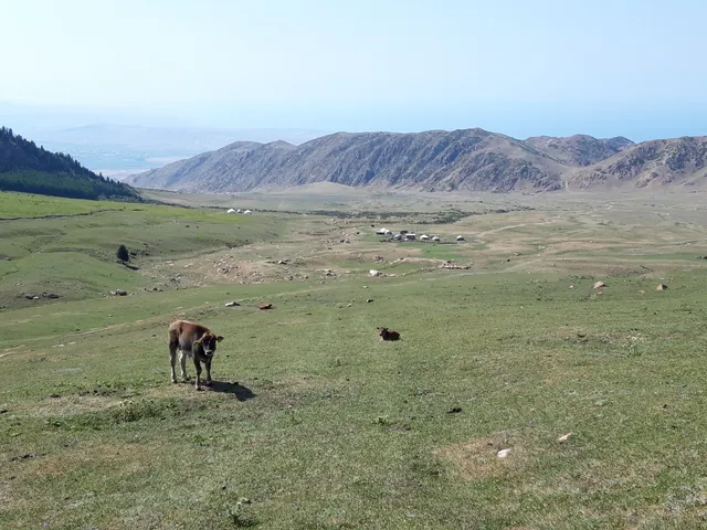 Küngöy Ala-Too Range