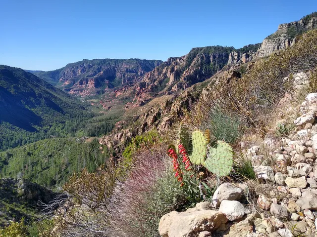 Bootlegger Picnic Area