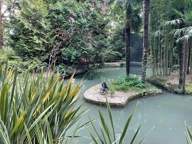 Дендрарий. Нижняя часть