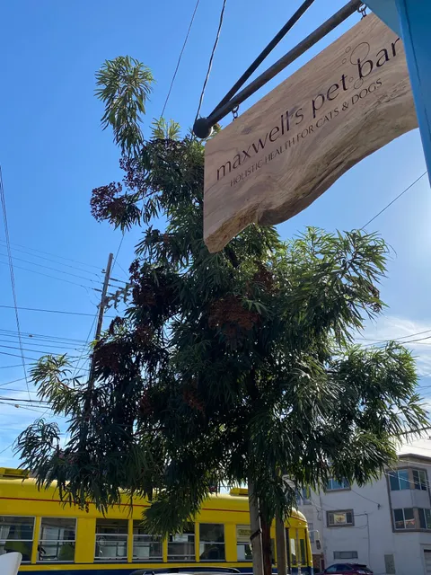 maxwell's pet bar