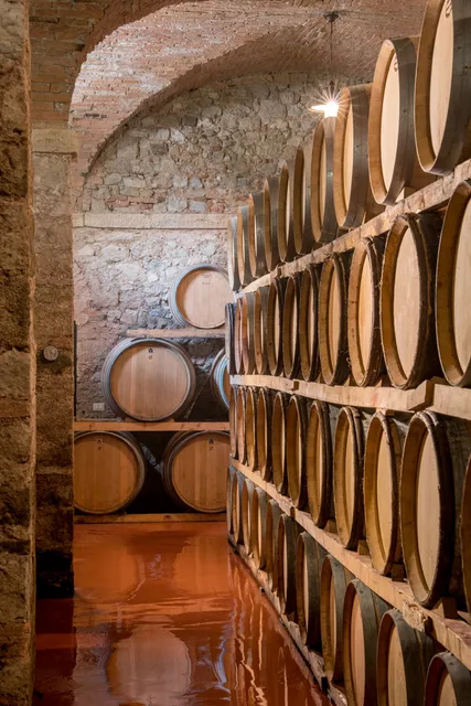 Winery Castello di Bolgheri