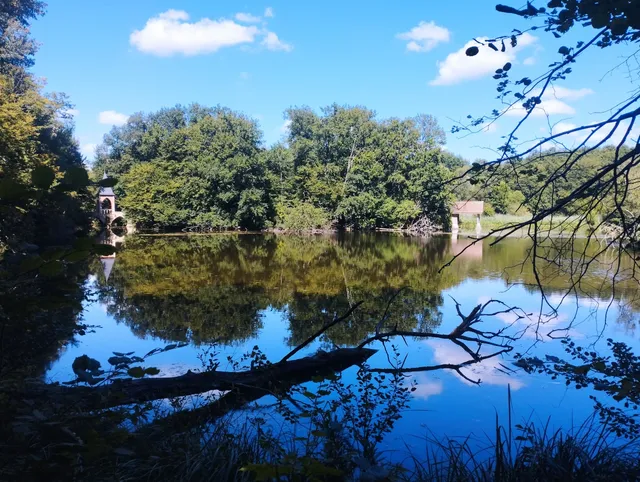 Réserve Naturelle Régionale des Étangs de Bonnelles