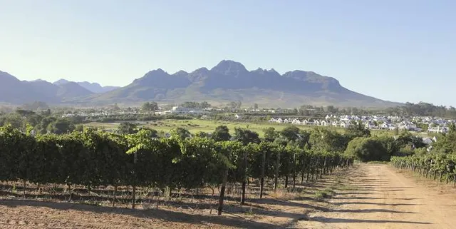 Stellenbosch Ward 21