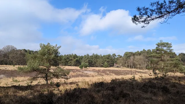 Koninklijke Houtvesterij Het Loo