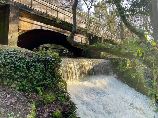 Chewton Bunny Nature Reserve