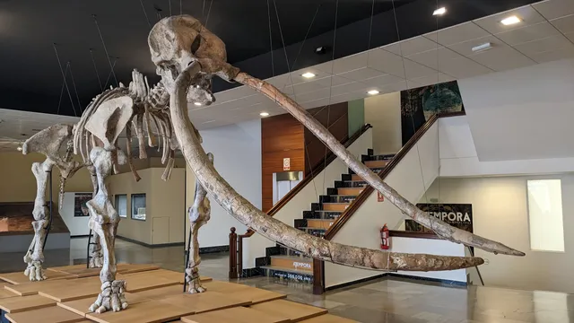 Museo de Ciudad Real