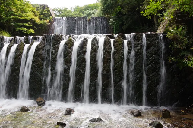 Mikumarikyo Forest Park