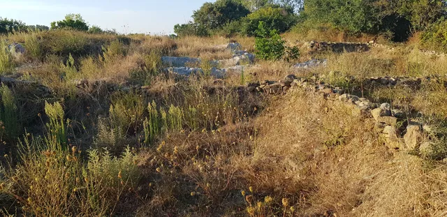 Yeni Bademli Höyük